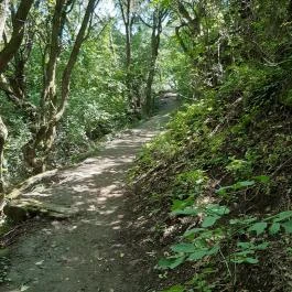 Tihanyi barátlakások, Tihany - Egyéb