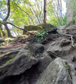 Tihanyi barátlakások