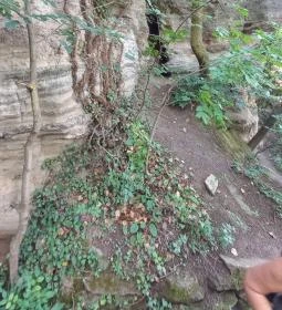 Tihanyi barátlakások