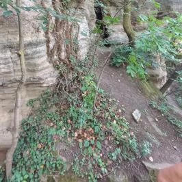 Tihanyi barátlakások, Tihany - Egyéb