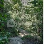 Tihanyi barátlakások Tihany - Egyéb