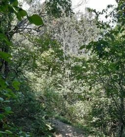 Tihanyi barátlakások