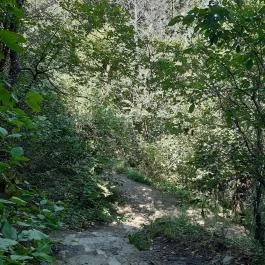 Tihanyi barátlakások, Tihany - Egyéb