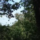 Tihanyi barátlakások Tihany - Egyéb