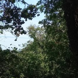 Tihanyi barátlakások, Tihany - Egyéb