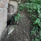 Tihanyi barátlakások Tihany - Egyéb