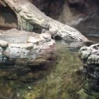 Tisza-tavi Ökocentrum Poroszló - 