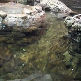 Tisza-tavi Ökocentrum Poroszló - Egyéb