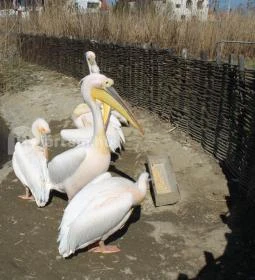 Tisza-tavi Ökocentrum