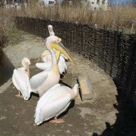 Tisza-tavi Ökocentrum Poroszló - Egyéb