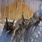 Tisza-tavi Ökocentrum Poroszló - 