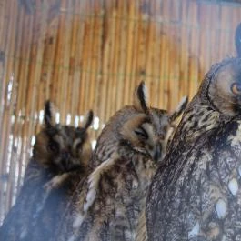 Tisza-tavi Ökocentrum Poroszló - Egyéb