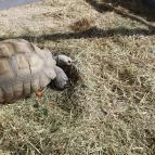 Tisza-tavi Ökocentrum Poroszló - 