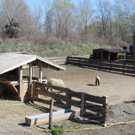 Tisza-tavi Ökocentrum Poroszló - Egyéb