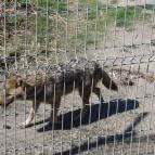 Tisza-tavi Ökocentrum Poroszló - 