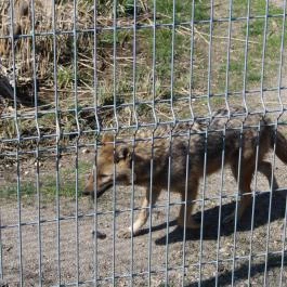 Tisza-tavi Ökocentrum Poroszló - Egyéb