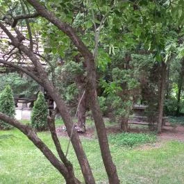 Tóbik Vendégház, Sirok - Egyéb