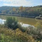 Üvegtigris Panzió Tinnye - Egyéb