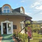 Üvegtigris Panzió Tinnye - Egyéb