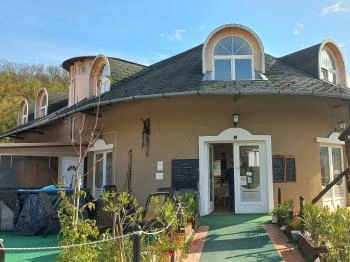 Üvegtigris Panzió Tinnye