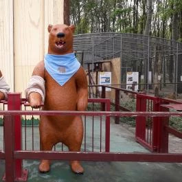 Veresegyházi Medveotthon, Veresegyház - 