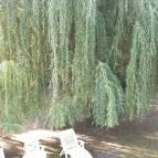 Villa B96 Siófok - Környék