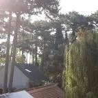 Villa B96 Siófok - Környék