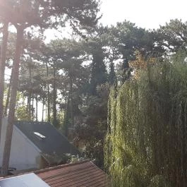 Villa B96 Siófok - Környék