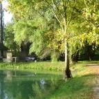 Zichy Park Hotel Bikács - Medence/kert