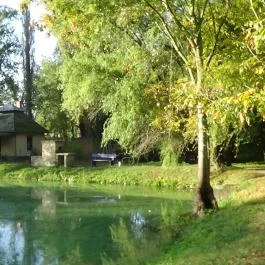 Zichy Park Hotel, Bikács - Medence/kert