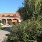 Zselicvad Étterem Bőszénfa - Egyéb