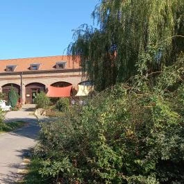 Zselicvad Étterem Bőszénfa - Egyéb