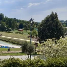 Zselicvölgy Szabadidőfarm Hajmás - Medence/kert