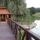 Zselicvölgy Szabadidőfarm Hajmás - Medence/kert