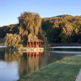 Zselicvölgy Szabadidőfarm Hajmás - Környék