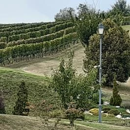 Zselicvölgy Szabadidőfarm Hajmás - Környék