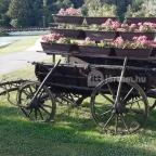 Zselicvölgy Szabadidőfarm Hajmás - Környék