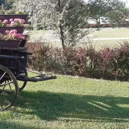 Zselicvölgy Szabadidőfarm Hajmás - Környék