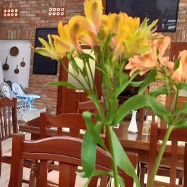 Zselicvölgy Szabadidőfarm Hajmás - Vendéglátás