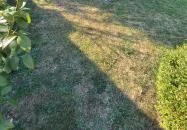 Zsuzsa Apartman Balatonalmádi