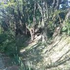 Somogy Kertje Üdülőfalu és Étterem Bonnya - Környék