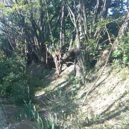 Somogy Kertje Üdül?falu és Étterem, Bonnya - Környék