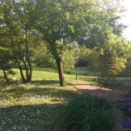 Somogy Kertje Üdül?falu és Étterem, Bonnya - Környék