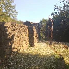 Somogy Kertje Üdül?falu és Étterem, Bonnya - Környék