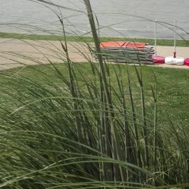 Velence Resort & Spa, Velence - Környék