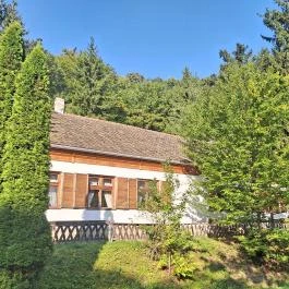 Keresztkút Erdei Pihenőhely , Kőszeg - Egyéb