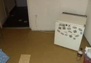 Viola Ifjúsági Szálló Siófok