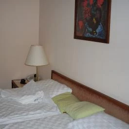 Ensana Thermal Sárvár, Sárvár - Szobák