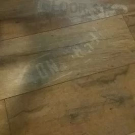 Cafe Frei, Miskolc - Egyéb