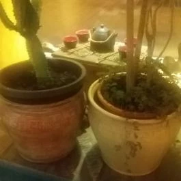 Cafe Frei, Miskolc - Belső